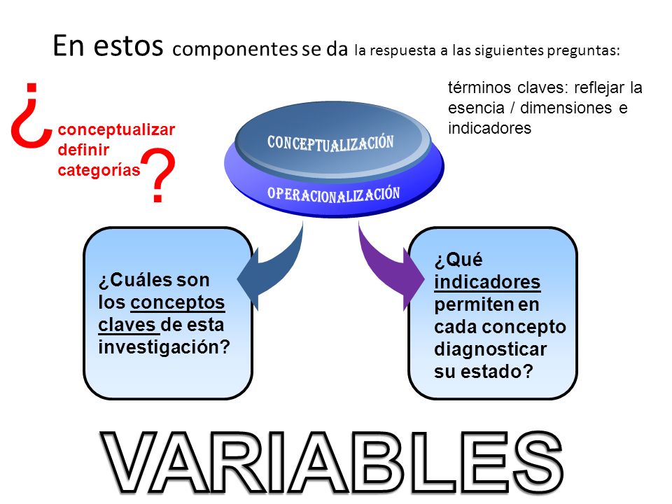 En estos componentes se da la respuesta a las siguientes preguntas: