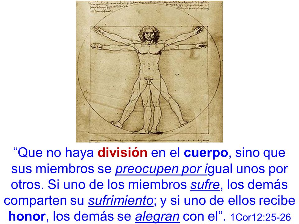 Que no haya división en el cuerpo, sino que sus miembros se preocupen por igual unos por otros.