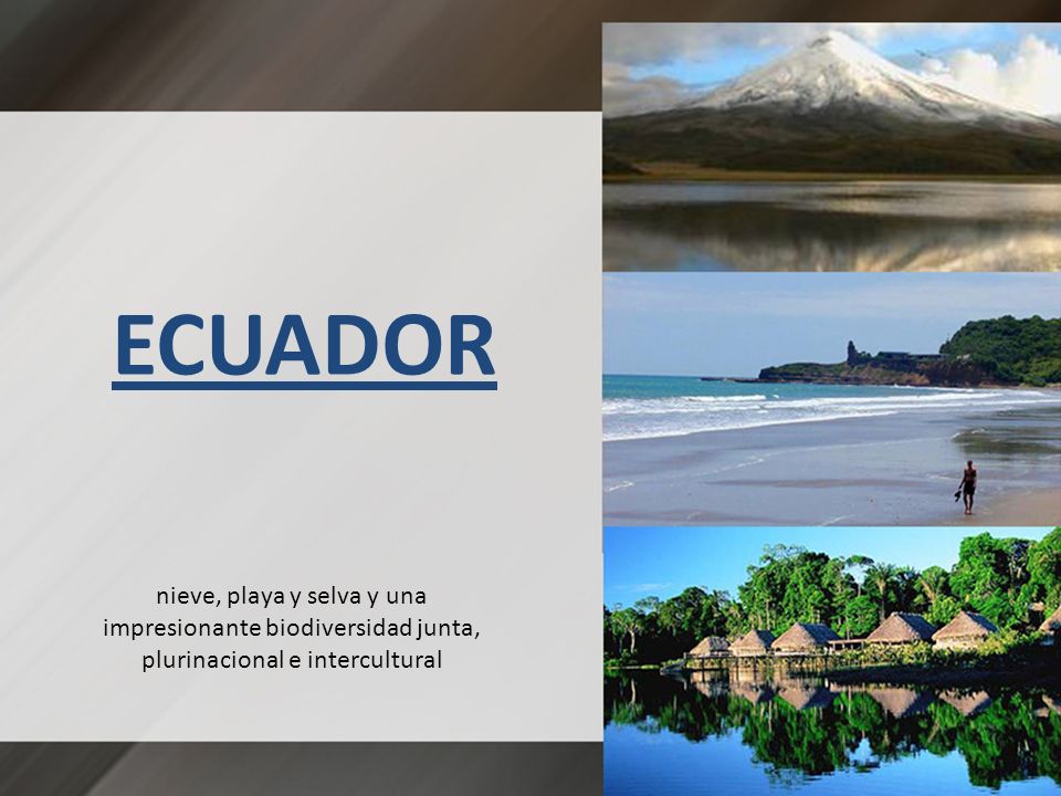 ECUADOR nieve, playa y selva y una impresionante biodiversidad junta, plurinacional e intercultural