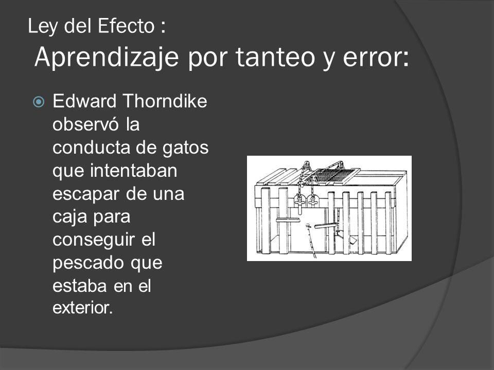 Ley del Efecto : Aprendizaje por tanteo y error: