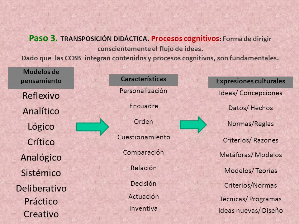 Modelos de pensamiento Expresiones culturales