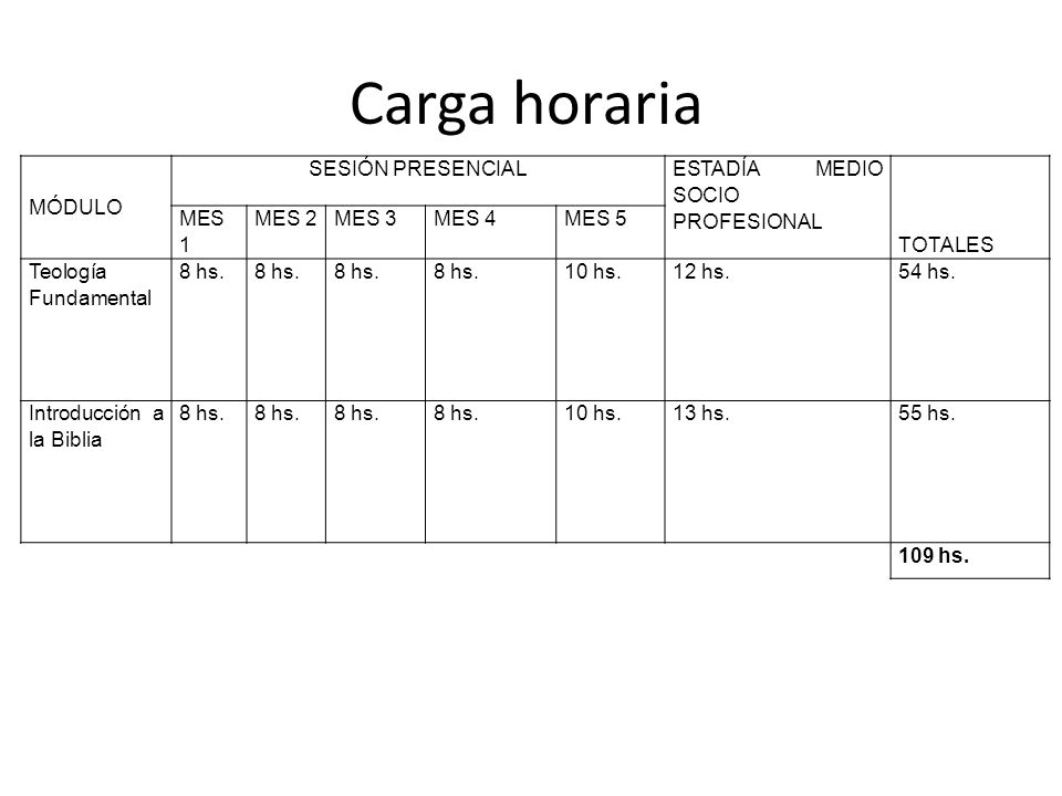 Carga horaria MÓDULO SESIÓN PRESENCIAL ESTADÍA MEDIO SOCIO PROFESIONAL