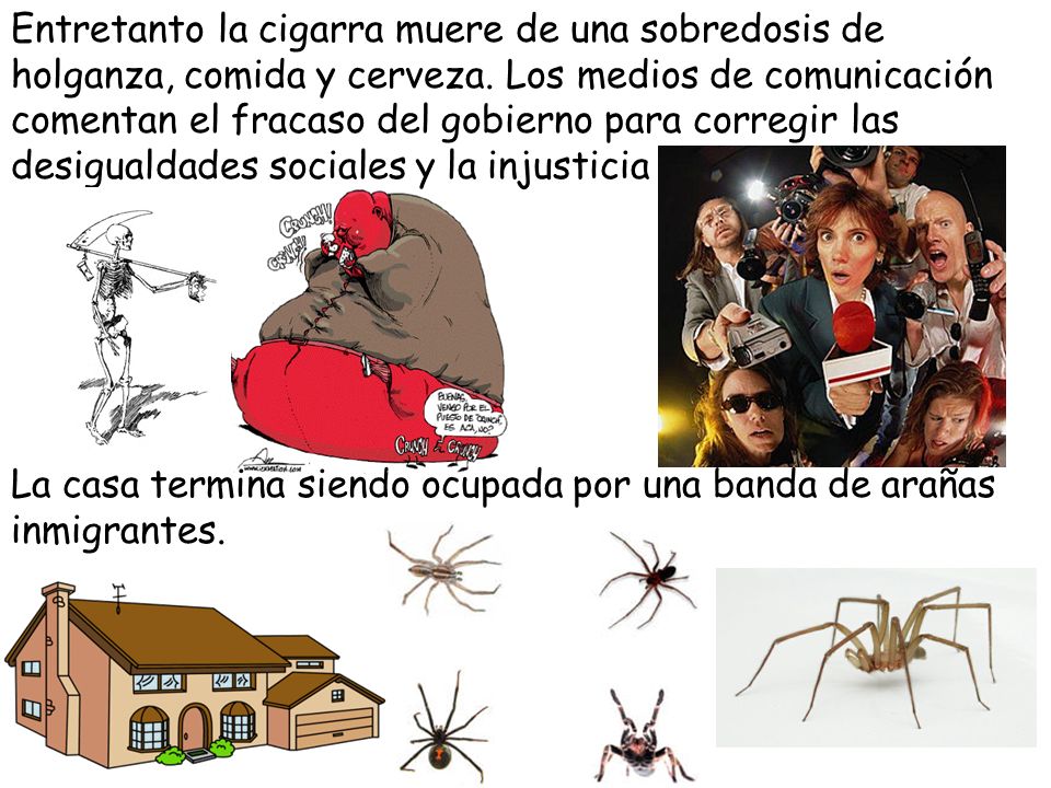Entretanto la cigarra muere de una sobredosis de holganza, comida y cerveza. Los medios de comunicación comentan el fracaso del gobierno para corregir las desigualdades sociales y la injusticia económica..