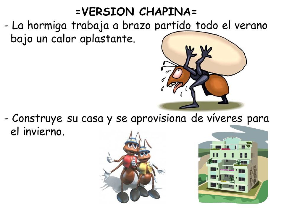 =VERSION CHAPINA= La hormiga trabaja a brazo partido todo el verano. bajo un calor aplastante. - Construye su casa y se aprovisiona de víveres para.