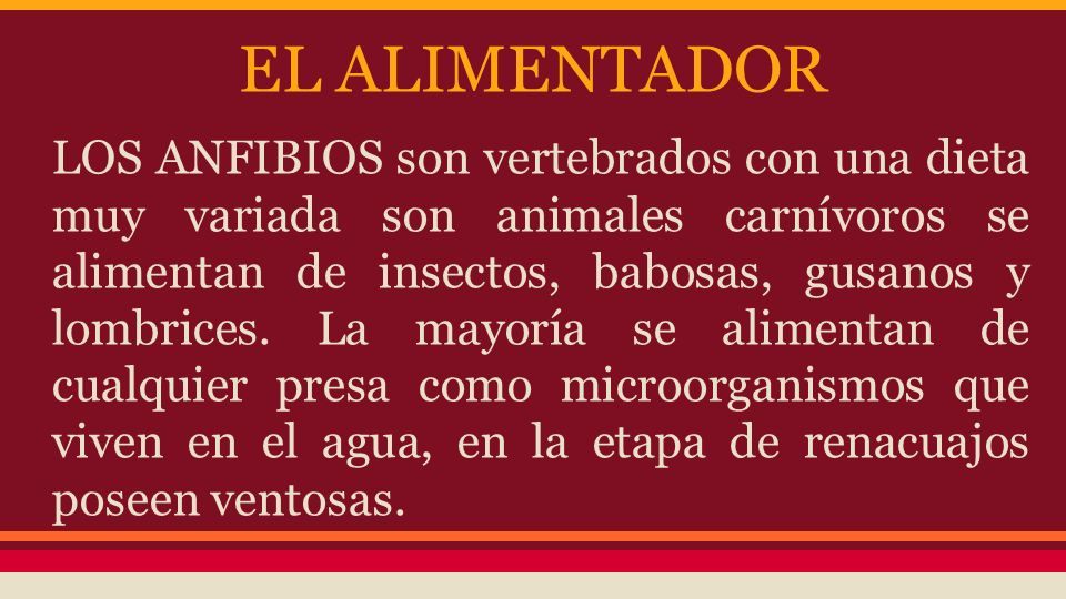 HIGIENE Los anfibios son animales acuáticos. Absorben agua a través de su piel y si la misma está sucia puede causarles enfermedades.