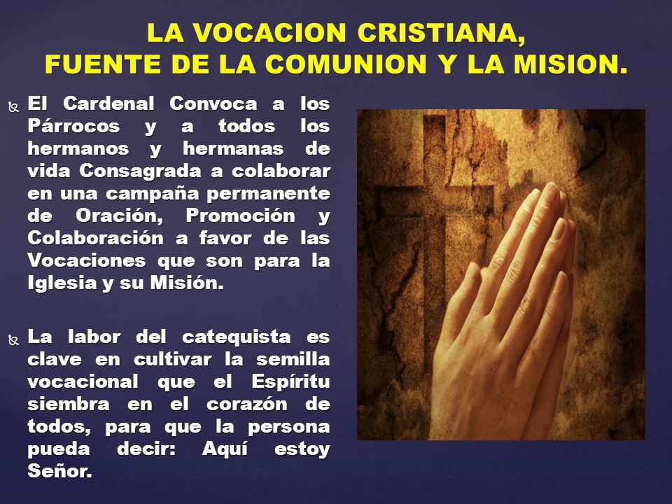 LA VOCACION CRISTIANA, FUENTE DE LA COMUNION Y LA MISION.