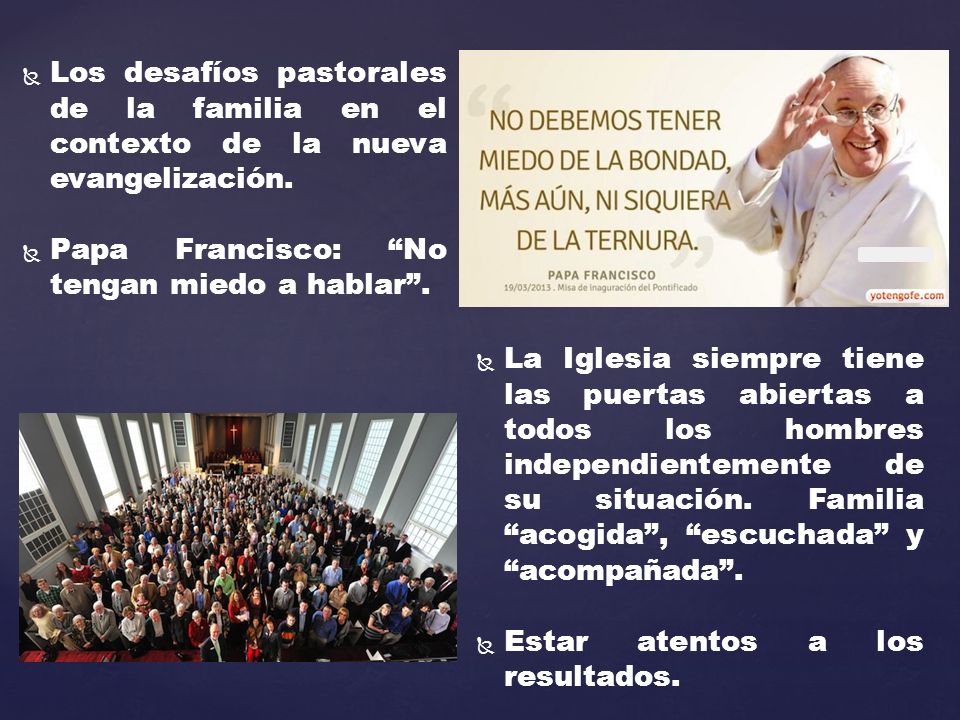 Los desafíos pastorales de la familia en el contexto de la nueva evangelización.