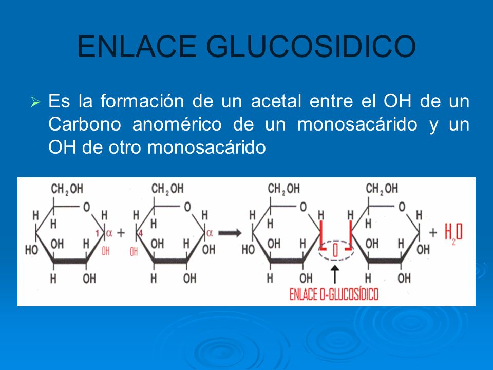 ENLACE GLUCOSIDICO Es la formación de un acetal entre el OH de un Carbono anomérico de un monosacárido y un OH de otro monosacárido.