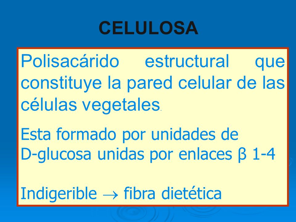 CELULOSA Polisacárido estructural que constituye la pared celular de las células vegetales. Esta formado por unidades de.