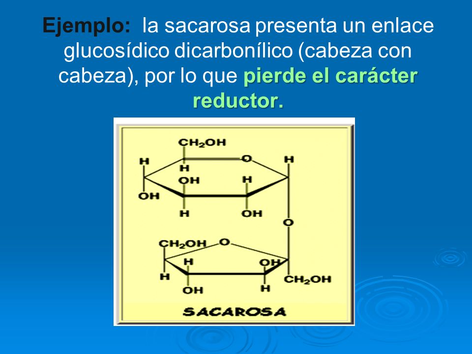 Ejemplo: la sacarosa presenta un enlace glucosídico dicarbonílico (cabeza con cabeza), por lo que pierde el carácter reductor.