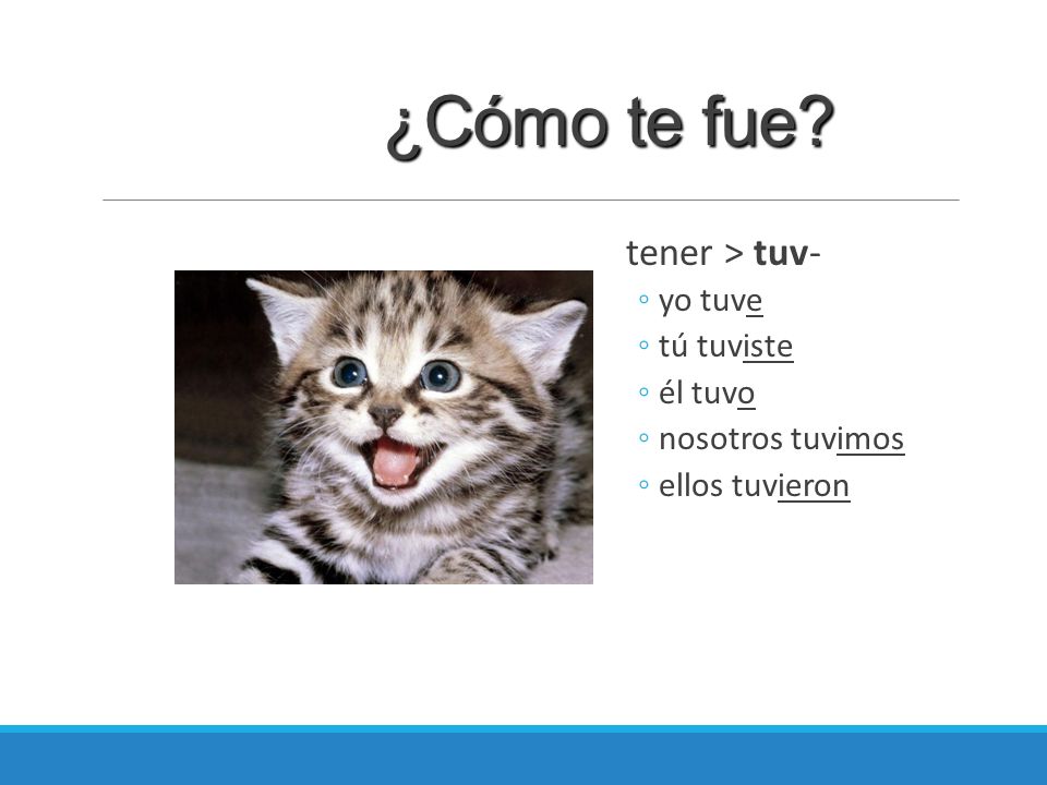 ¿Cómo te fue tener > tuv- yo tuve tú tuviste él tuvo