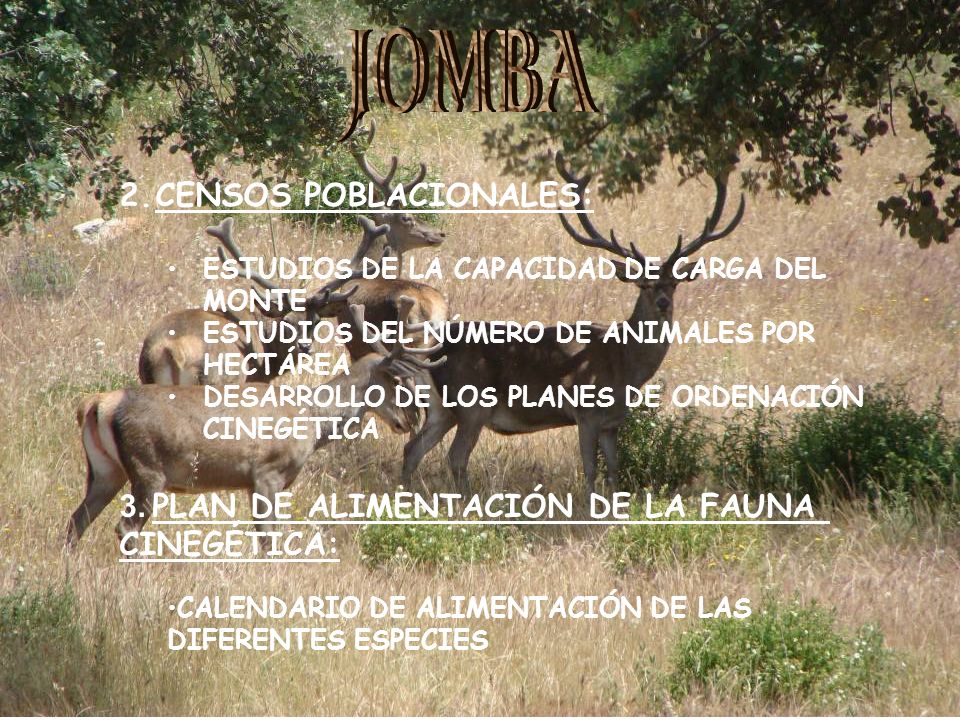 JOMBA CENSOS POBLACIONALES: 3. PLAN DE ALIMENTACIÓN DE LA FAUNA