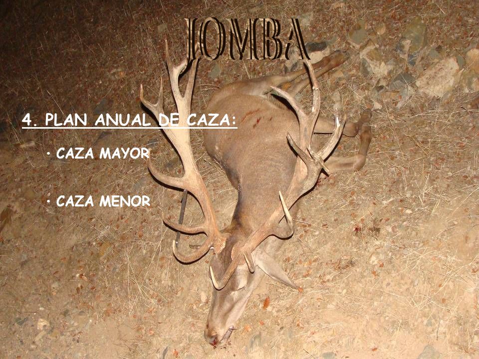 JOMBA 4. PLAN ANUAL DE CAZA: CAZA MAYOR CAZA MENOR