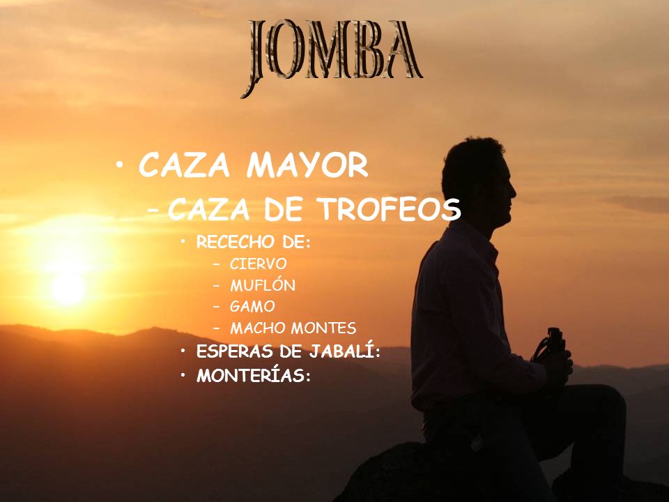 JOMBA CAZA MAYOR CAZA DE TROFEOS RECECHO DE: ESPERAS DE JABALÍ:
