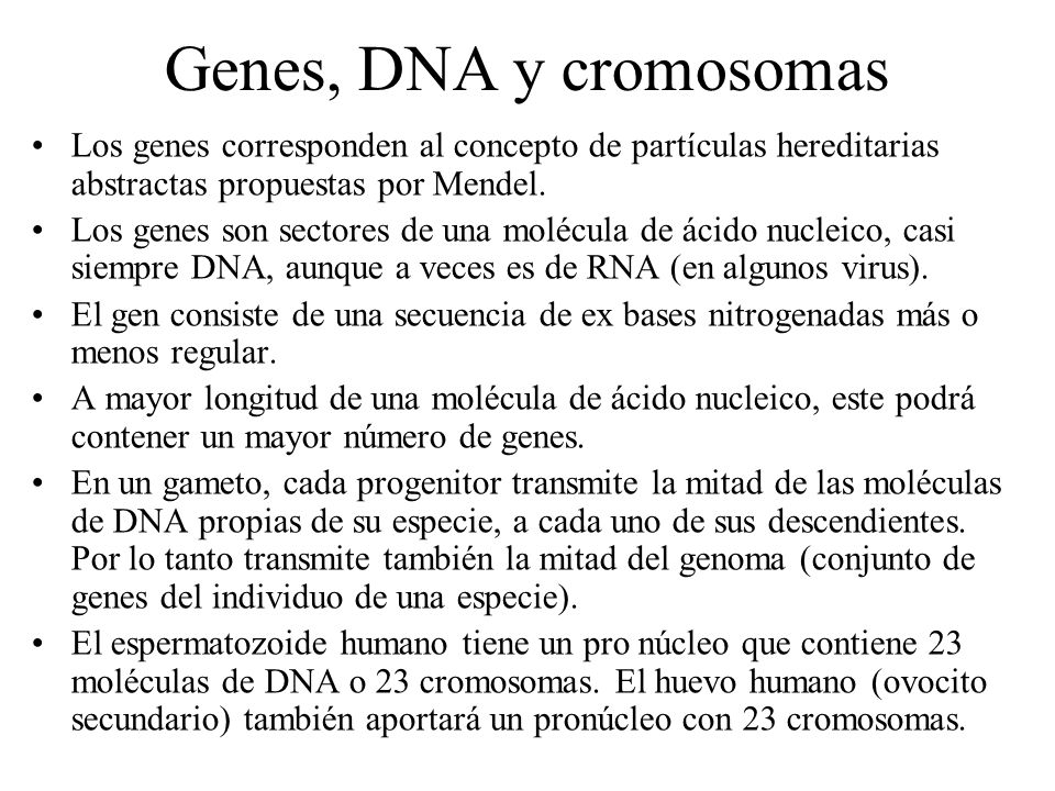 Genes, DNA y cromosomas Los genes corresponden al concepto de partículas hereditarias abstractas propuestas por Mendel.