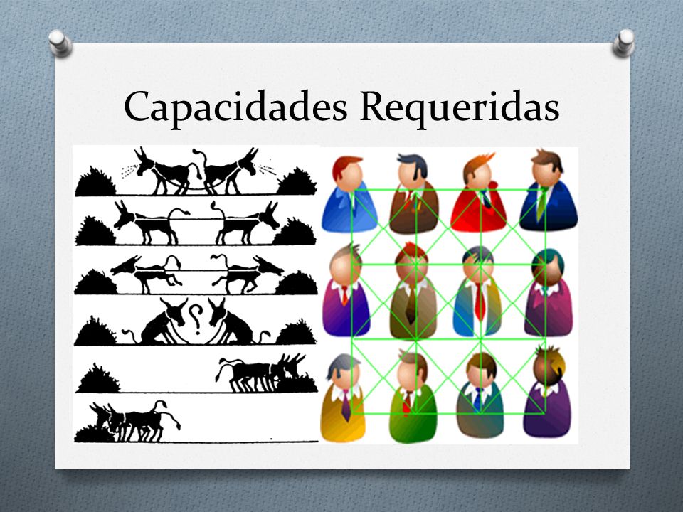 Capacidades Requeridas