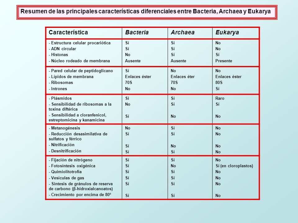 Resumen de las principales características diferenciales entre Bacteria, Archaea y Eukarya