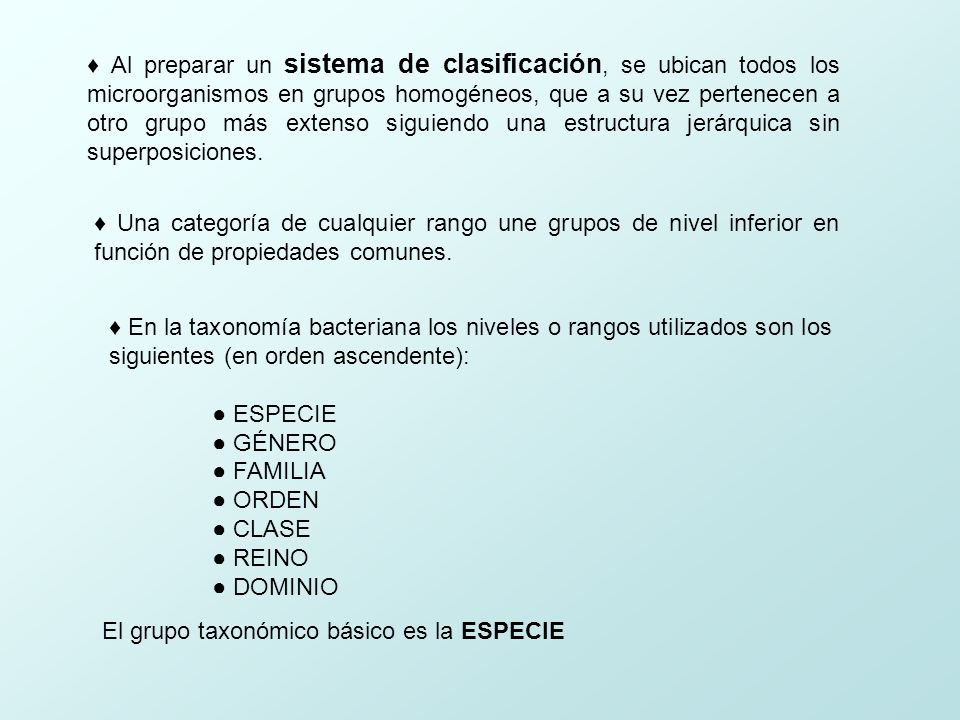 ♦ Al preparar un sistema de clasificación, se ubican todos los microorganismos en grupos homogéneos, que a su vez pertenecen a otro grupo más extenso siguiendo una estructura jerárquica sin superposiciones.