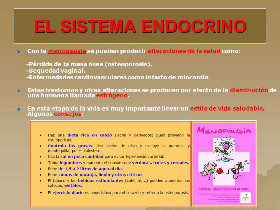 EL SISTEMA ENDOCRINO Con la menopausia se pueden producir alteraciones de la salud como: -Pérdida de la masa ósea (osteoporosis).