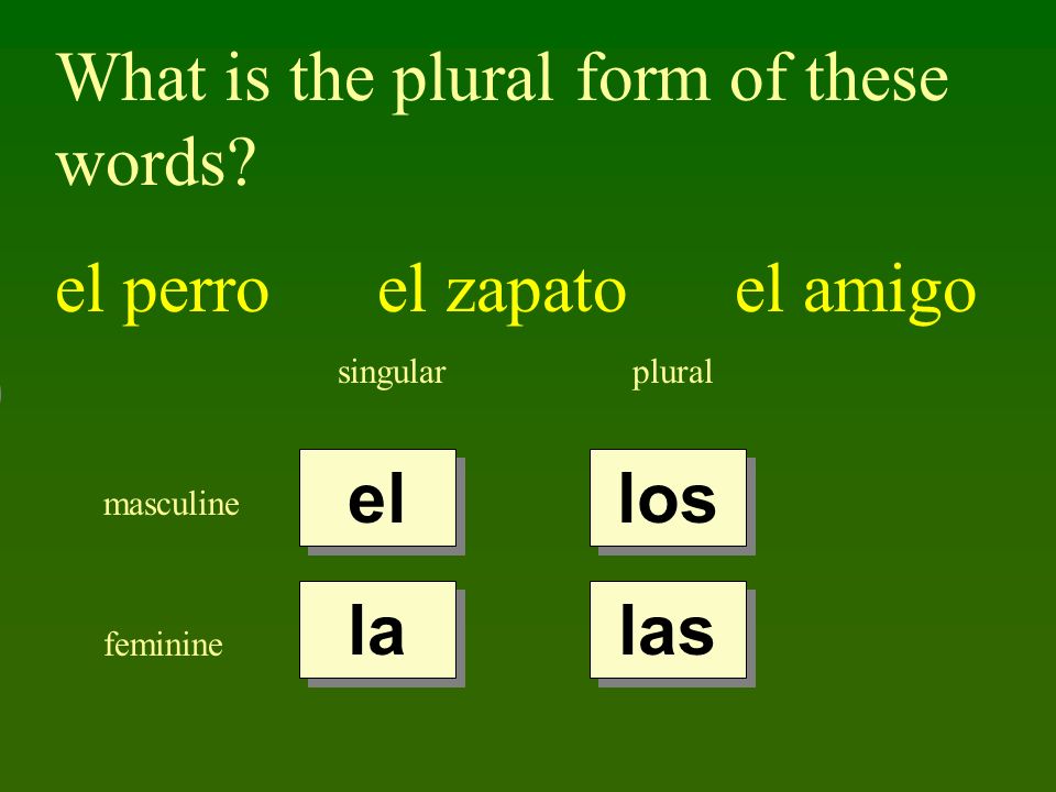 What is the plural form of these words el perro el zapato el amigo