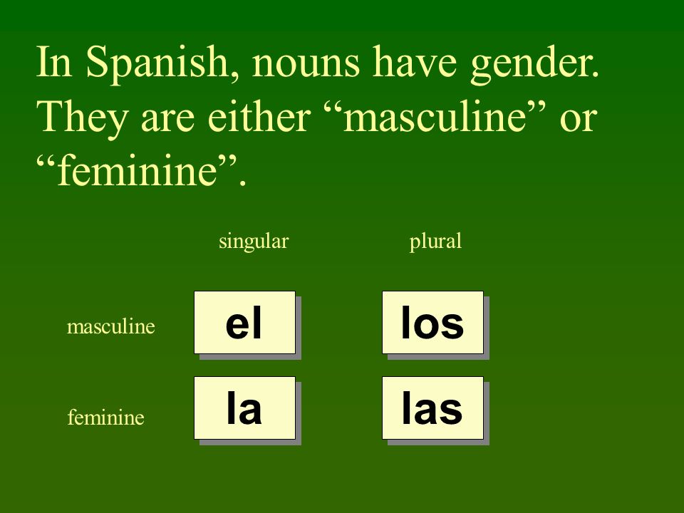In Spanish, nouns have gender