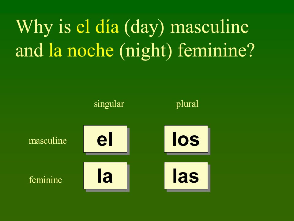 Why is el día (day) masculine and la noche (night) feminine
