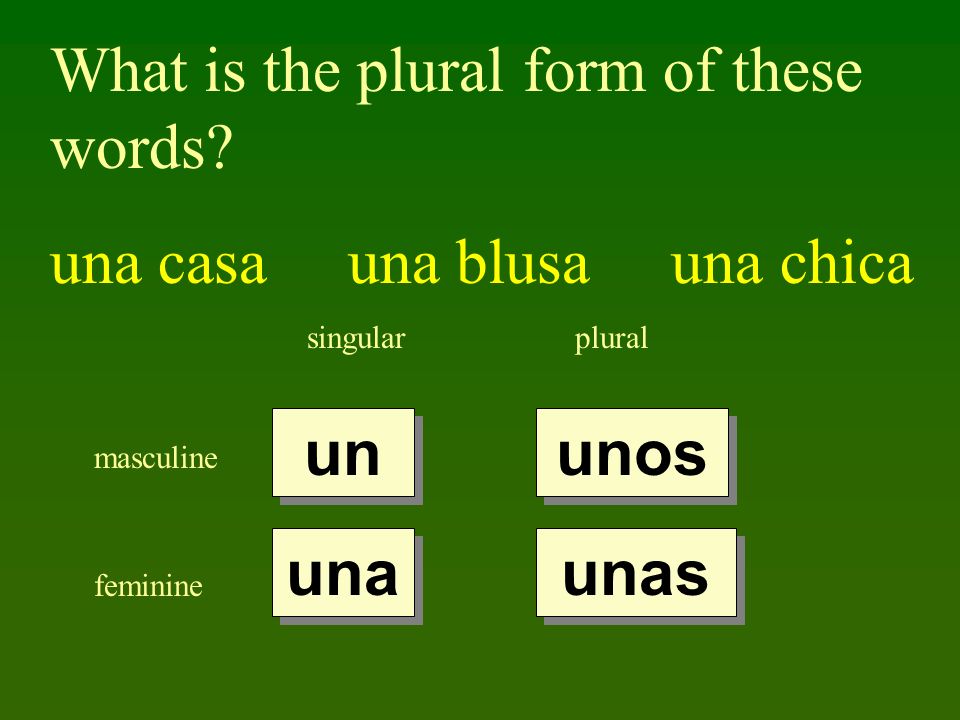 What is the plural form of these words una casa una blusa una chica