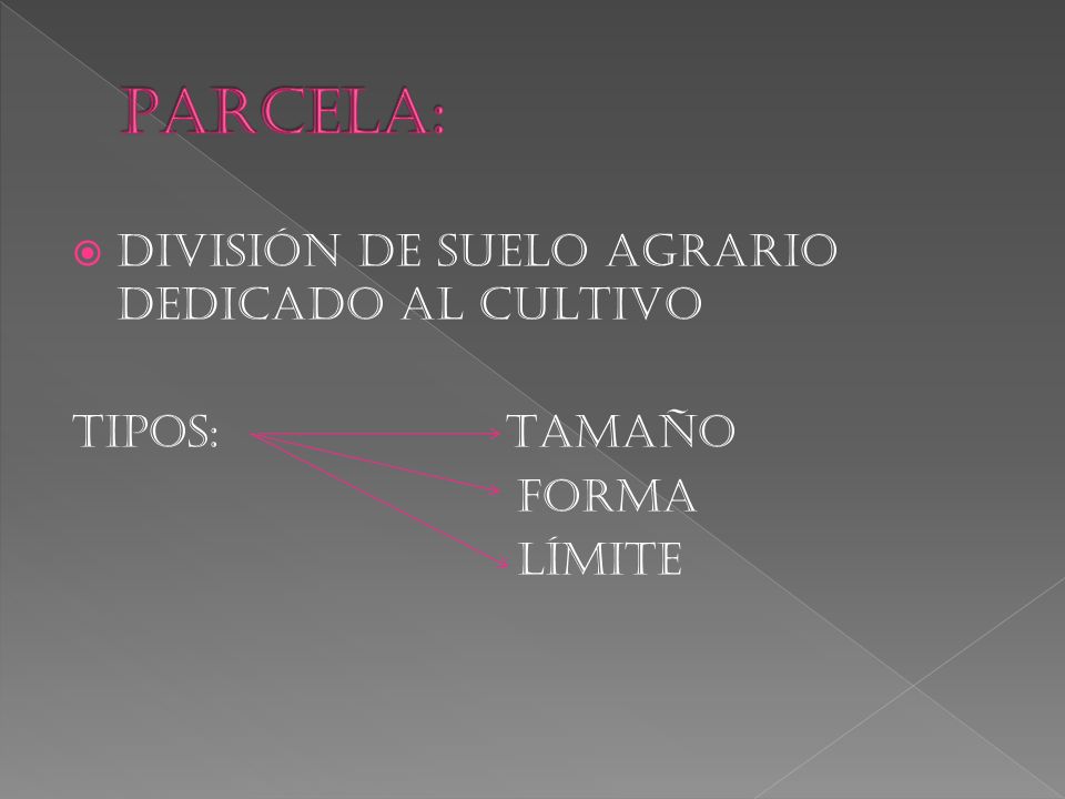PARCELA: DIVISIÓN DE SUELO AGRARIO DEDICADO AL CULTIVO TIPOS: TAMAÑO