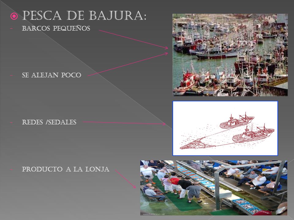 PESCA DE BAJURA: BARCOS PEQUEÑOS Se alejan poco Redes /sedales