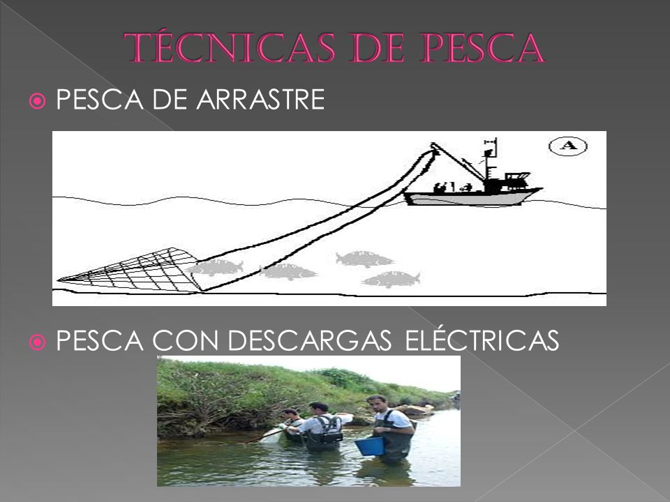 TÉCNICAS DE PESCA PESCA DE ARRASTRE PESCA CON DESCARGAS ELÉCTRICAS
