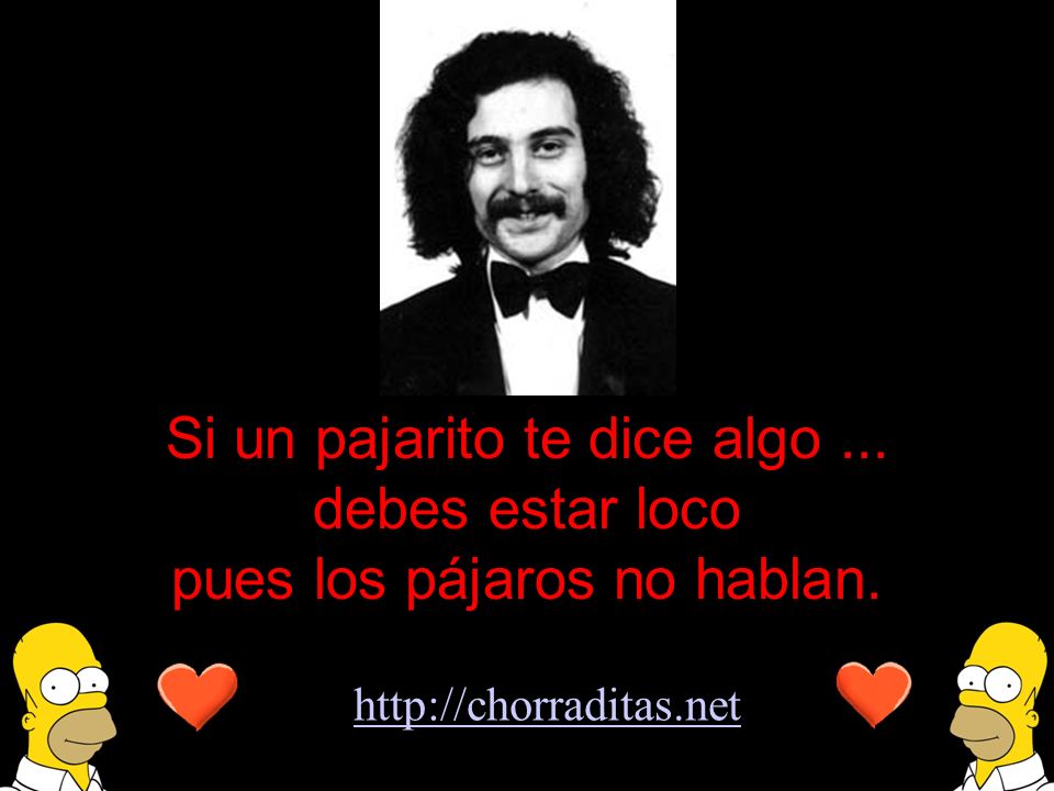 Si un pajarito te dice algo ... debes estar loco