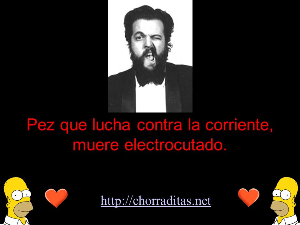 Pez que lucha contra la corriente, muere electrocutado.