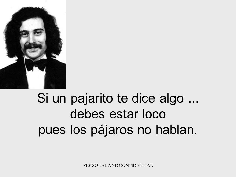 Si un pajarito te dice algo ... debes estar loco