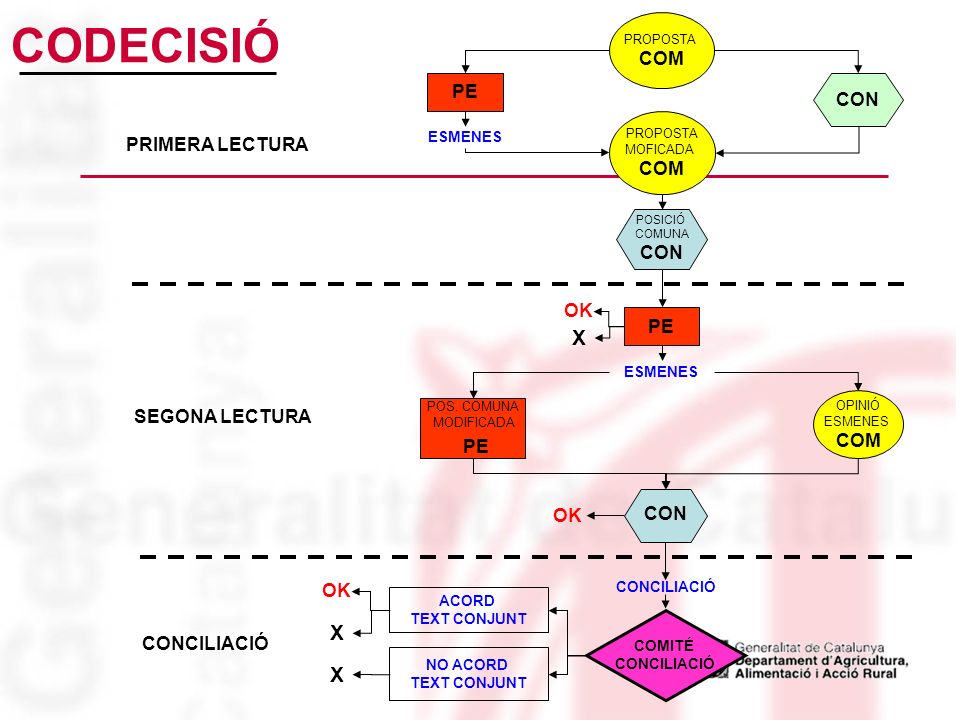 CODECISIÓ PE X X X COM PE CON PRIMERA LECTURA COM CON OK PE