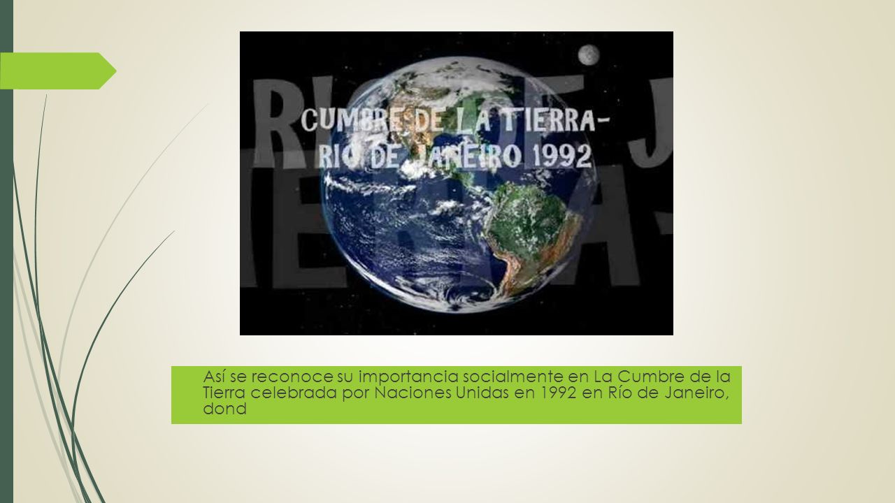 Así se reconoce su importancia socialmente en La Cumbre de la Tierra celebrada por Naciones Unidas en 1992 en Río de Janeiro, dond