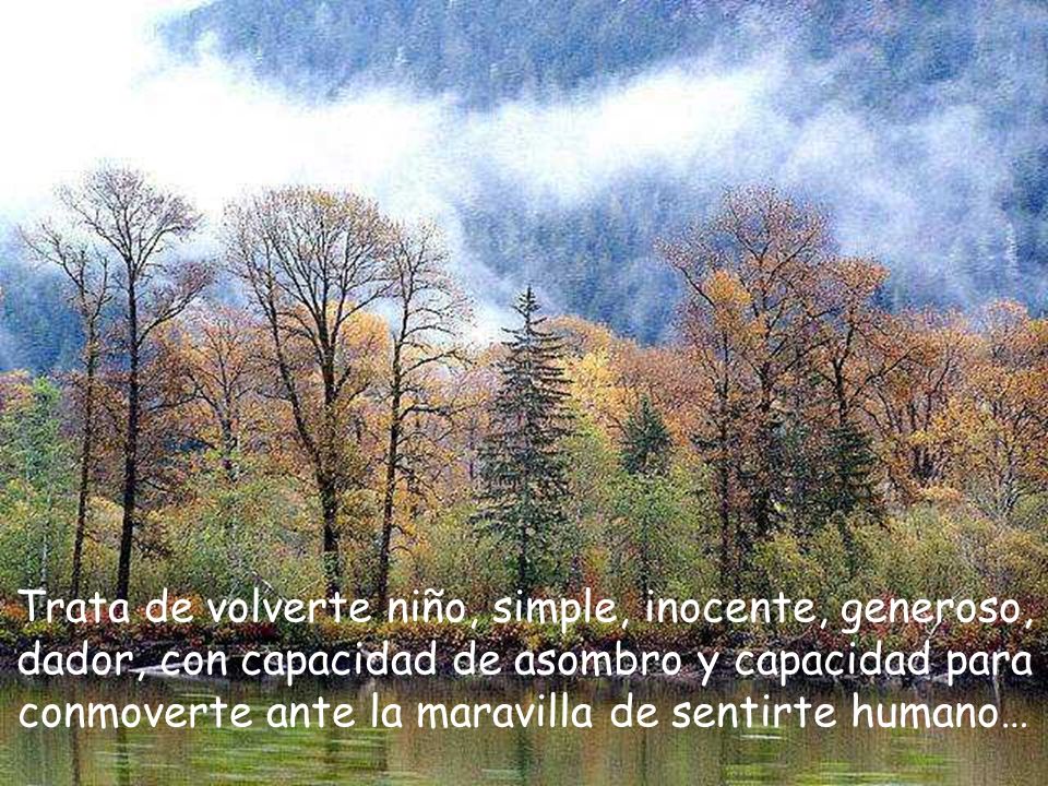Trata de volverte niño, simple, inocente, generoso, dador, con capacidad de asombro y capacidad para conmoverte ante la maravilla de sentirte humano…