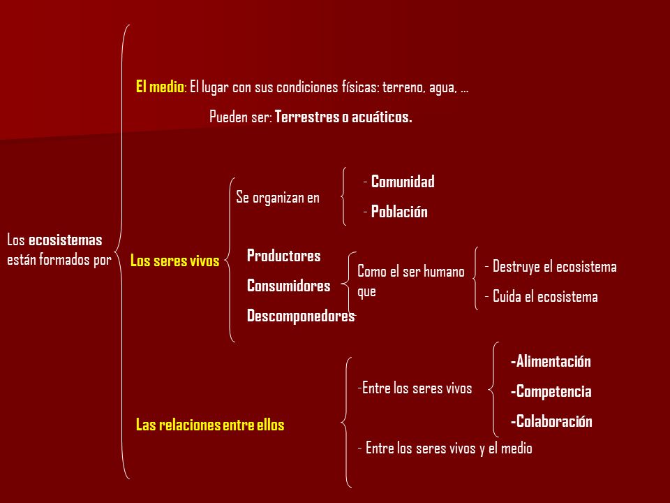 El medio: El lugar con sus condiciones físicas: terreno, agua, …