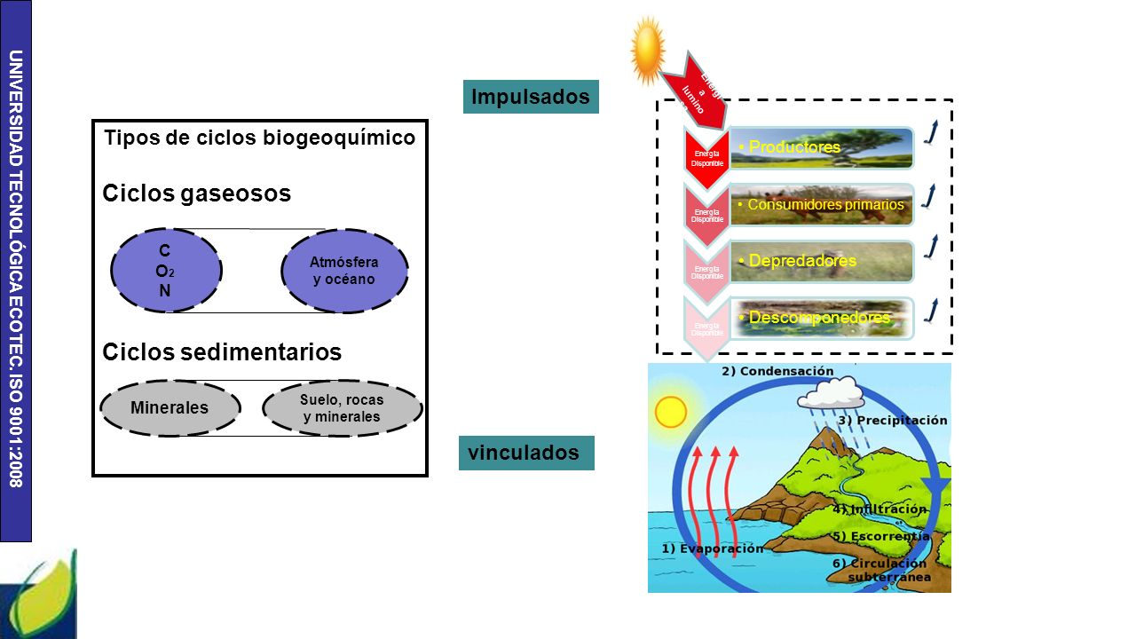 Tipos de ciclos biogeoquímico Suelo, rocas y minerales