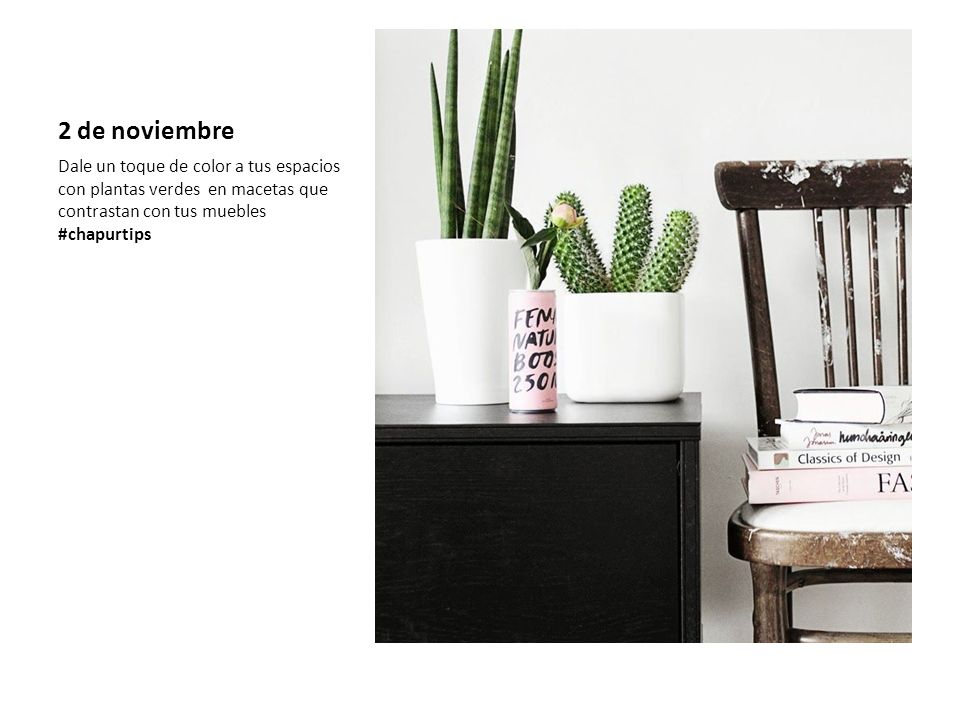 2 de noviembre Dale un toque de color a tus espacios con plantas verdes en macetas que contrastan con tus muebles #chapurtips.