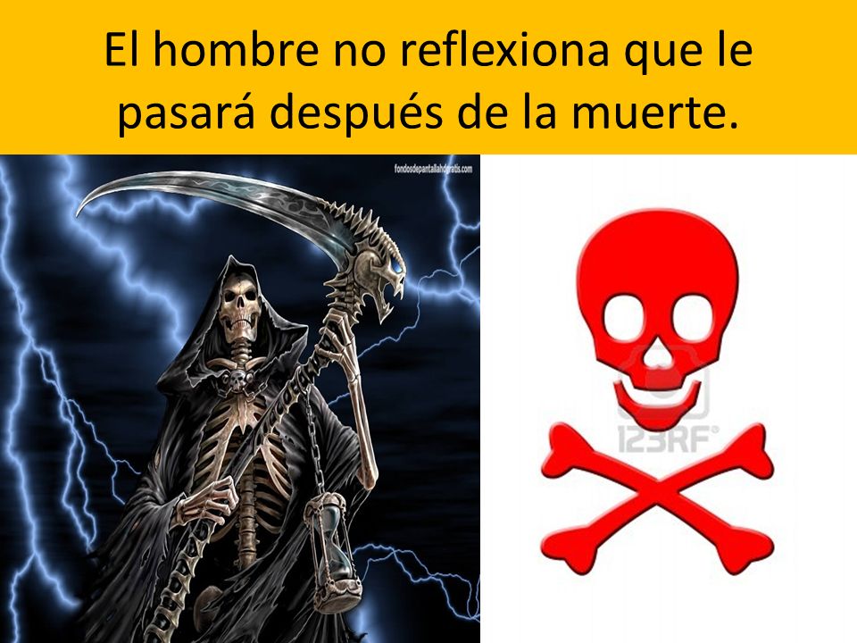 El hombre no reflexiona que le pasará después de la muerte.