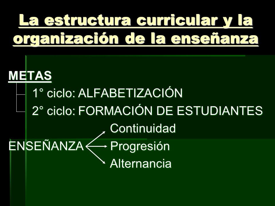 La estructura curricular y la organización de la enseñanza