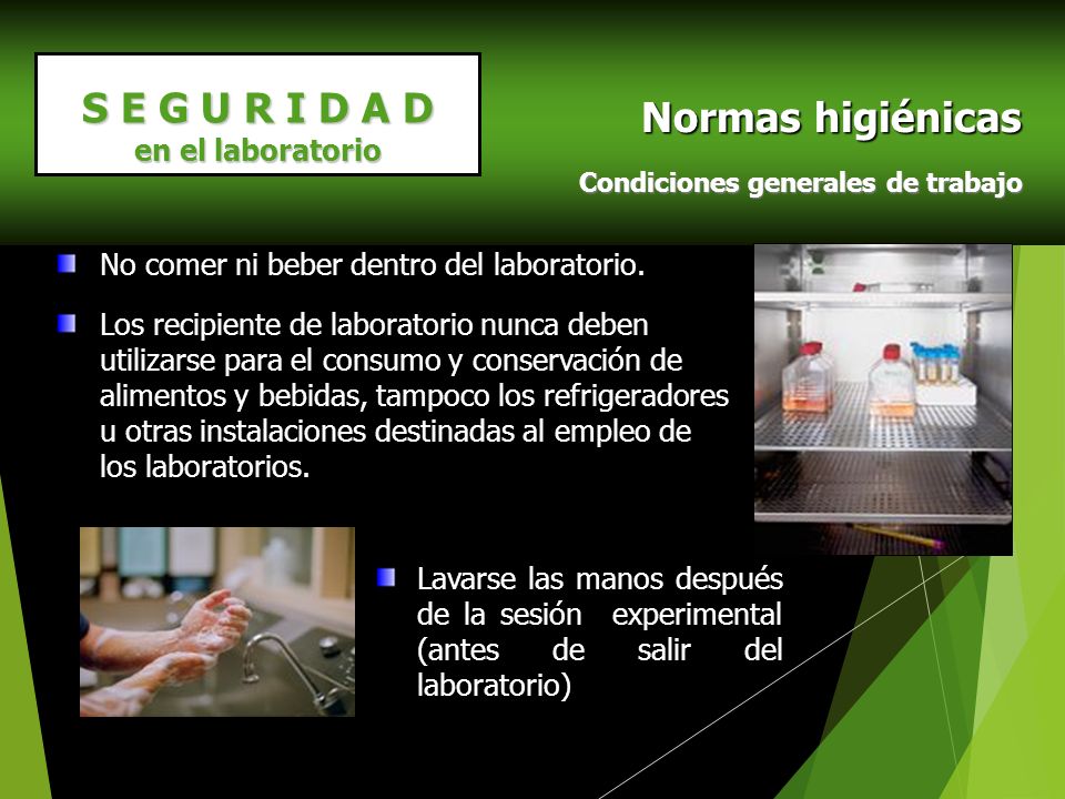 Normas higiénicas S E G U R I D A D