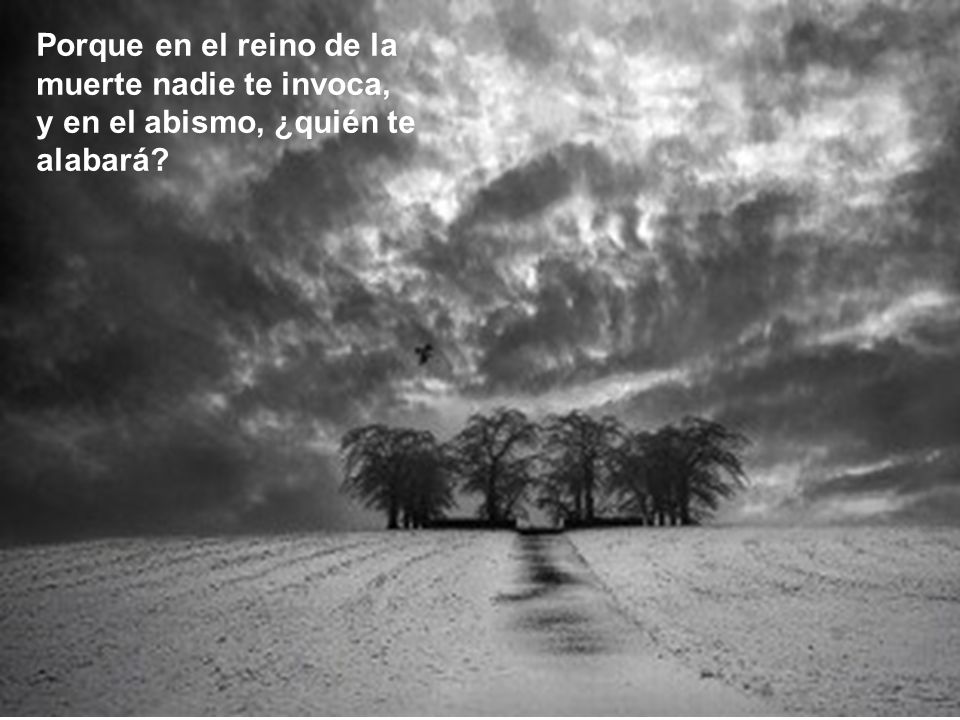 Porque en el reino de la muerte nadie te invoca,