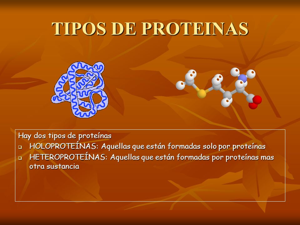TIPOS DE PROTEINAS Hay dos tipos de proteínas