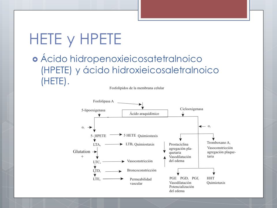 HETE y HPETE Ácido hidropenoxieicosatetralnoico (HPETE) y ácido hidroxieicosaletralnoico (HETE).