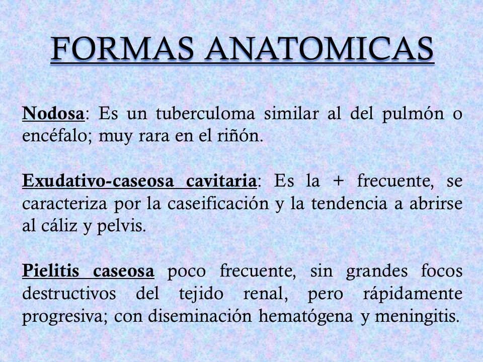 FORMAS ANATOMICAS Nodosa: Es un tuberculoma similar al del pulmón o encéfalo; muy rara en el riñón.