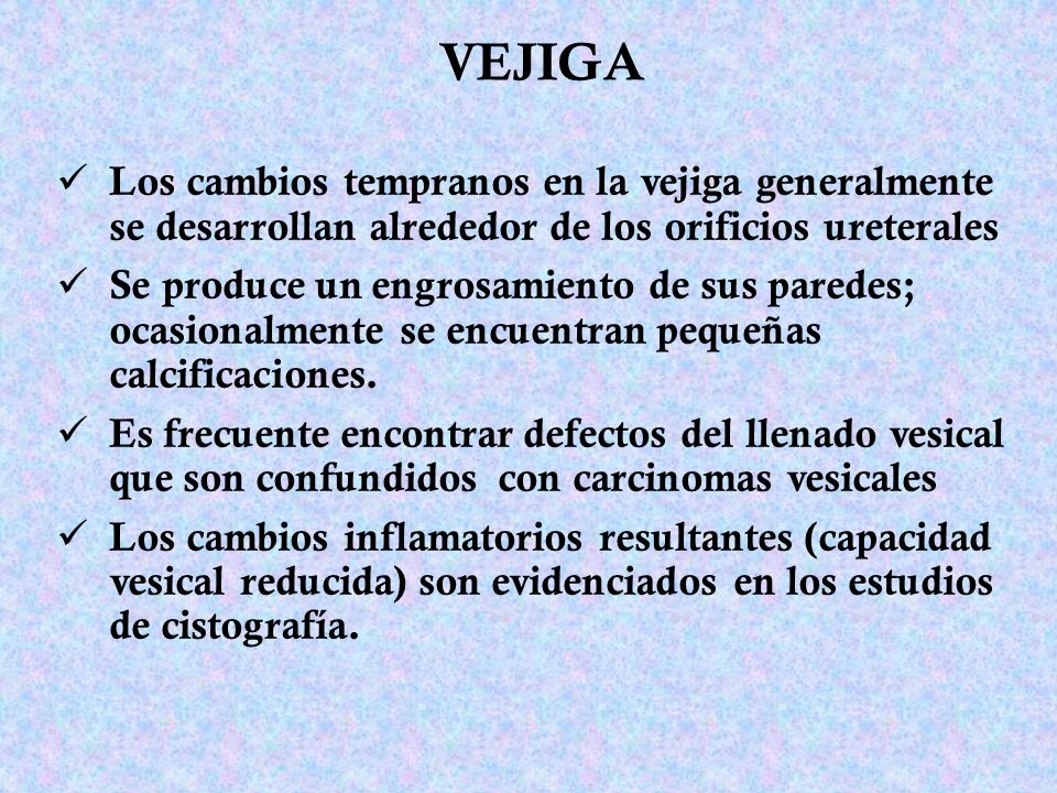 VEJIGA Los cambios tempranos en la vejiga generalmente se desarrollan alrededor de los orificios ureterales.
