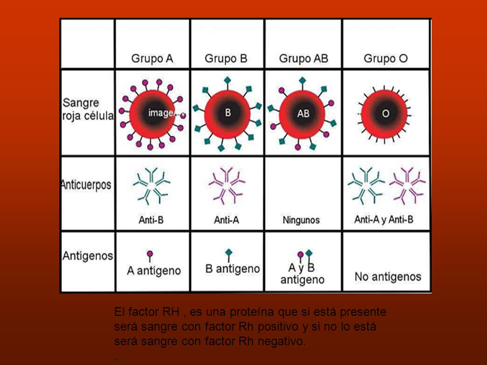 El factor RH , es una proteína que si está presente será sangre con factor Rh positivo y si no lo está será sangre con factor Rh negativo.