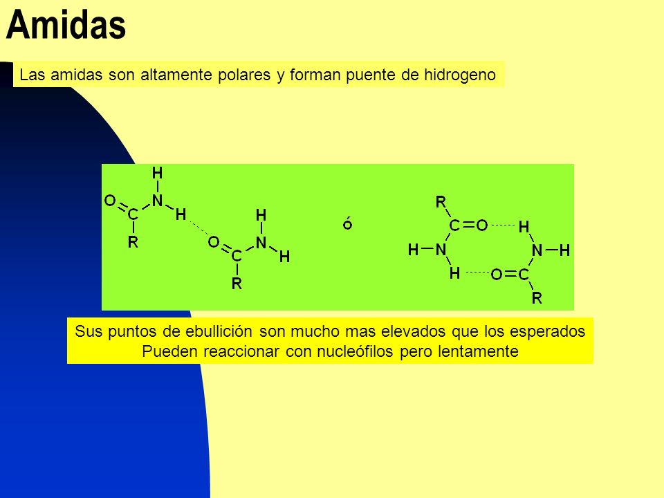 Amidas Las amidas son altamente polares y forman puente de hidrogeno