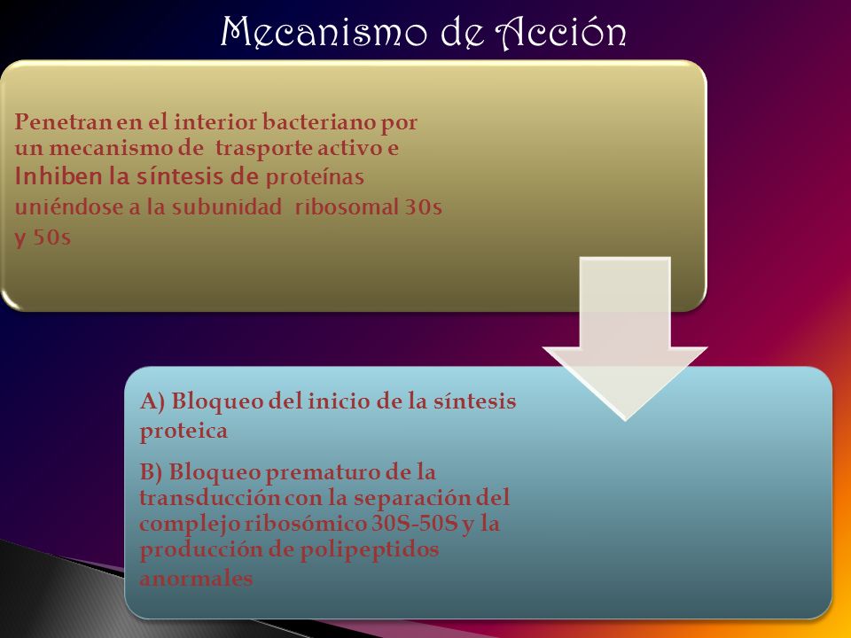 Mecanismo de Acción A) Bloqueo del inicio de la síntesis proteica